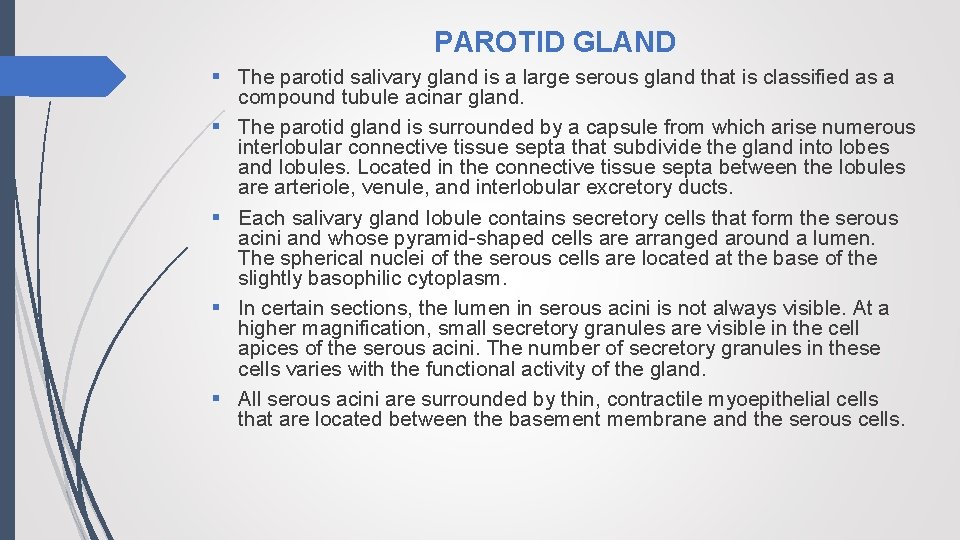 PAROTID GLAND § The parotid salivary gland is a large serous gland that is