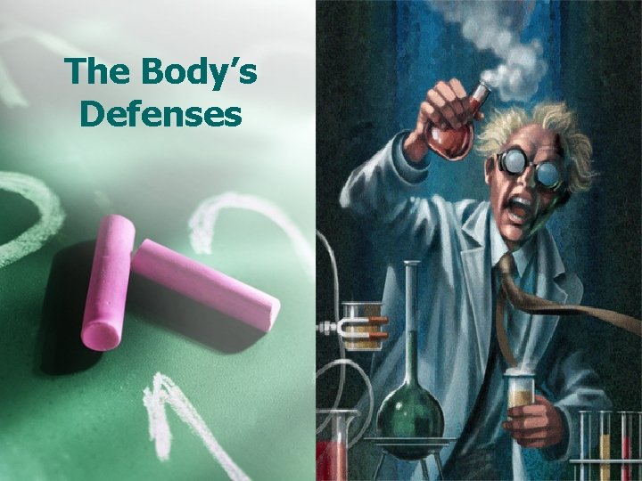 The Body’s Defenses 