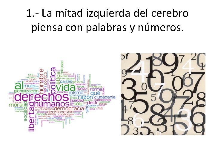 1. - La mitad izquierda del cerebro piensa con palabras y números. 