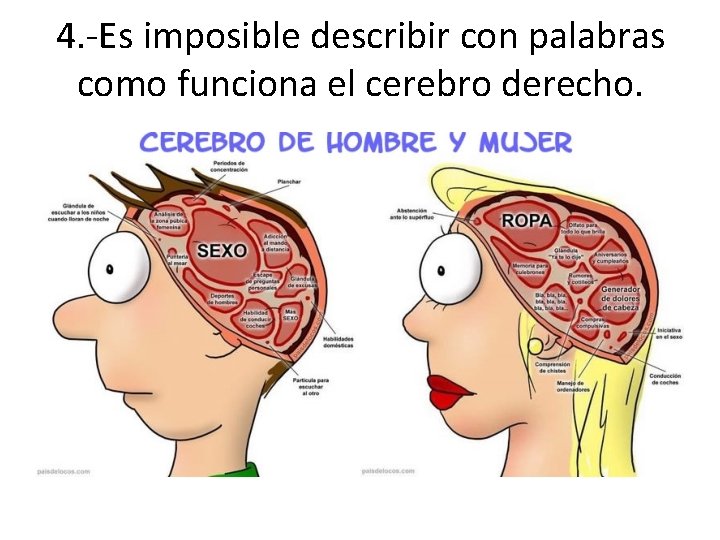 4. -Es imposible describir con palabras como funciona el cerebro derecho. 