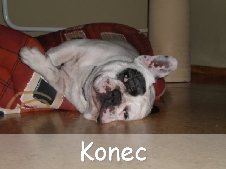 Konec 