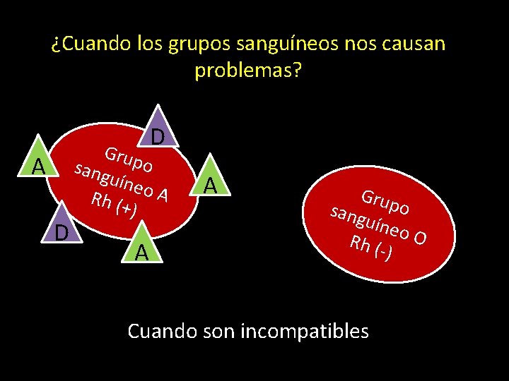 ¿Cuando los grupos sanguíneos nos causan problemas? D A D Grup o sang uíne