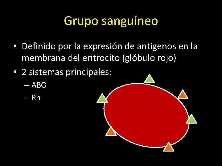 Grupo sanguíneo • Definido por la expresión de antígenos en la membrana del eritrocito