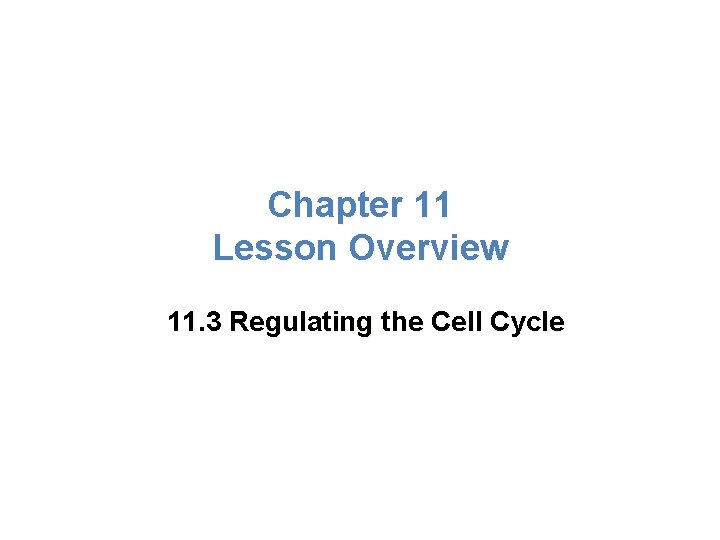 Lesson Overview Regulating the Cell Cycle Chapter 11 Lesson Overview 11. 3 Regulating the