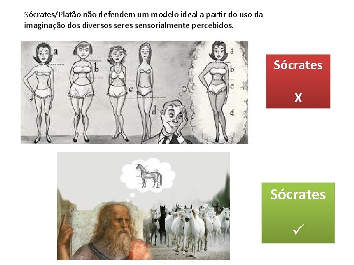 Sócrates/Platão não defendem um modelo ideal a partir do uso da imaginação dos diversos