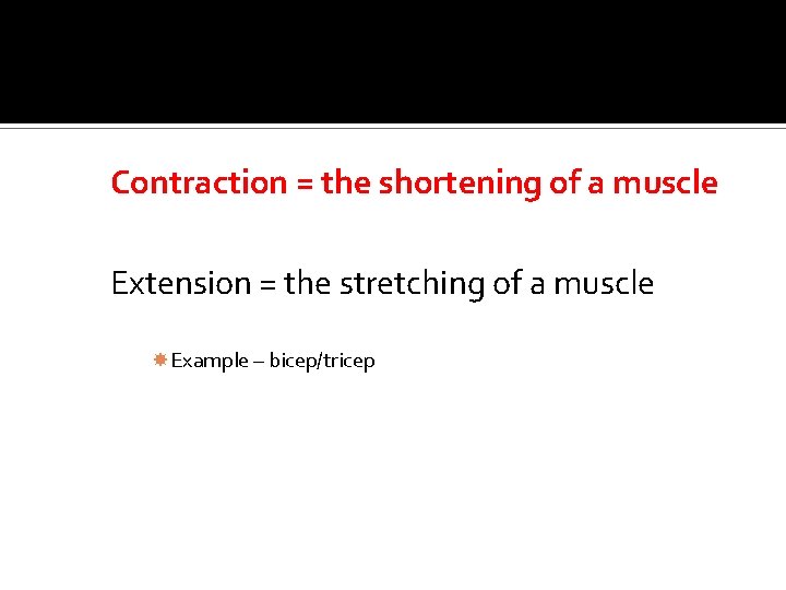 Contraction = the shortening of a muscle Extension = the stretching of a muscle