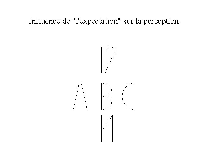 Influence de "l'expectation" sur la perception 