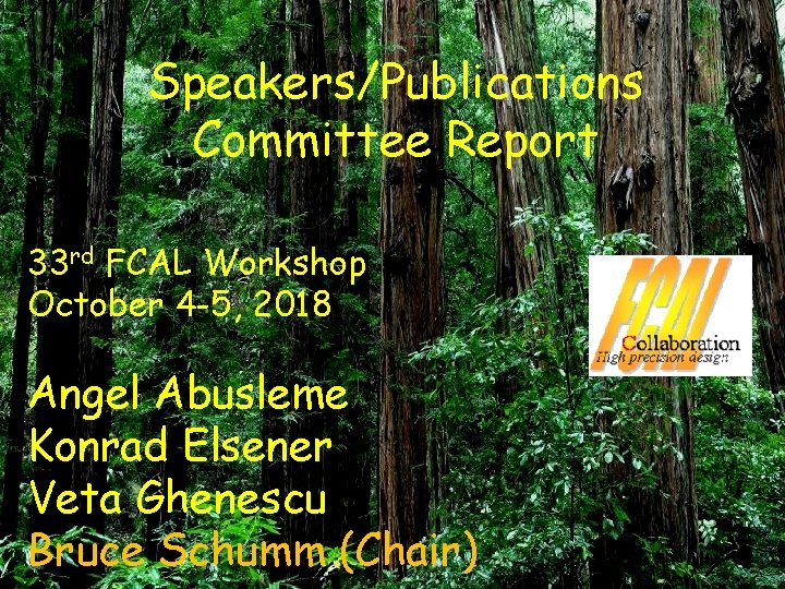 Speakers/Publications Committee Report 33 rd FCAL Workshop October 4 -5, 2018 Angel Abusleme Konrad