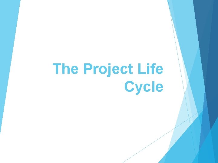 The Project Life Cycle 