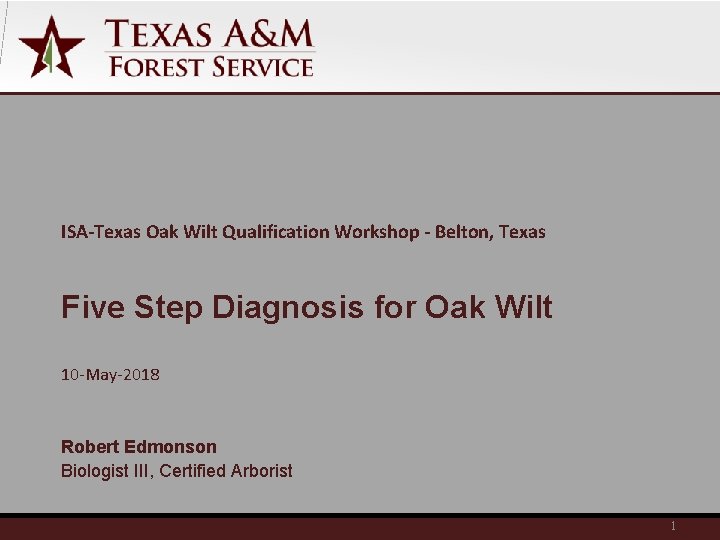 ISA-Texas Oak Wilt Qualification Workshop - Belton, Texas Five Step Diagnosis for Oak Wilt