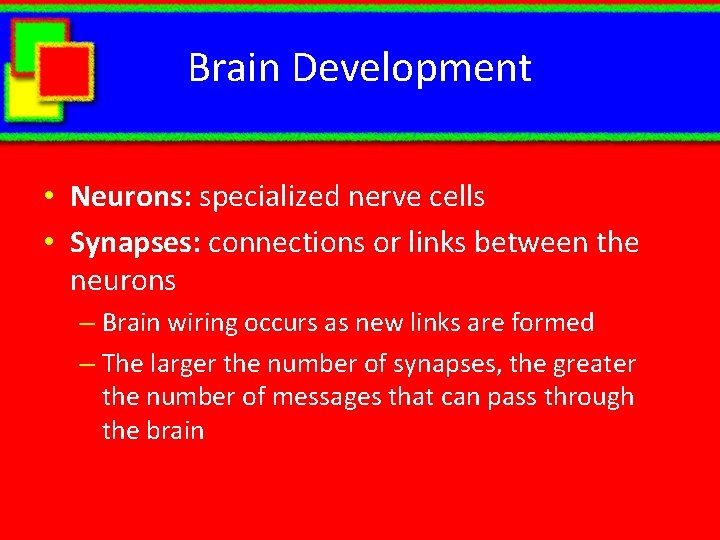 Brain Development • Neurons: specialized nerve cells • Synapses: connections or links between the Brain Development • Neurons: specialized nerve cells • Synapses: connections or links between the
