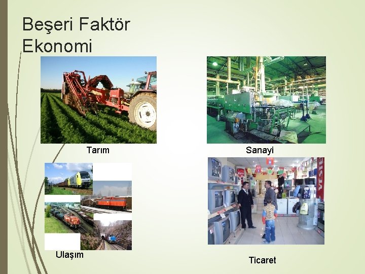 Beşeri Faktör Ekonomi Tarım Ulaşım Sanayi Ticaret 