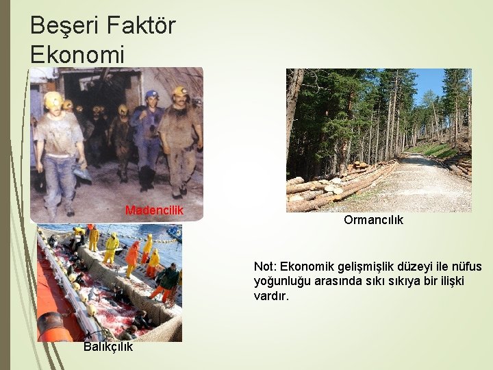 Beşeri Faktör Ekonomi Madencilik Ormancılık Not: Ekonomik gelişmişlik düzeyi ile nüfus yoğunluğu arasında sıkıya