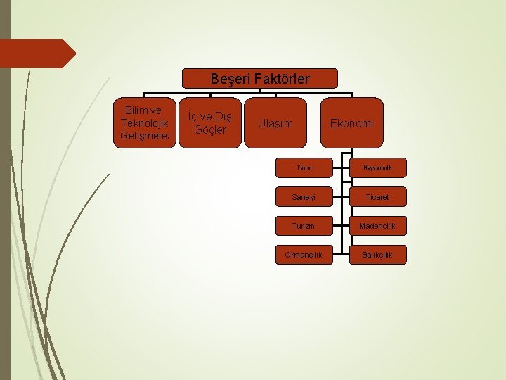 Beşeri Faktörler Bilim ve Teknolojik Gelişmeler İç ve Dış Göçler Ulaşım Ekonomi Tarım Hayvancılık