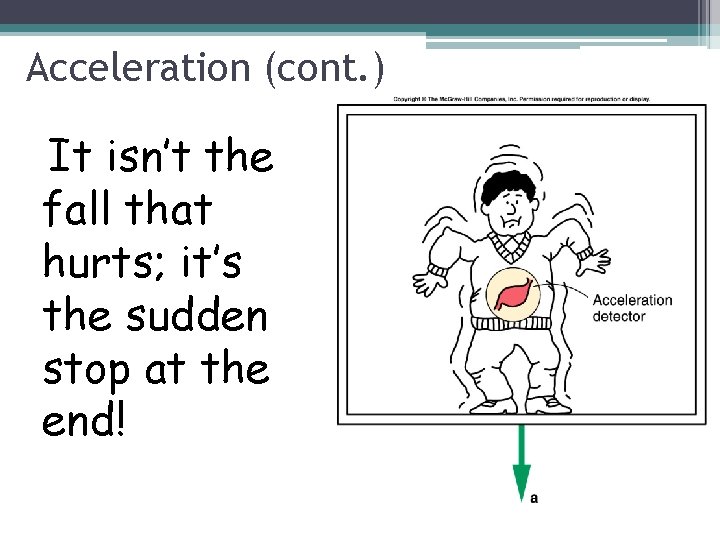 Acceleration (cont. ) It isn’t the fall that hurts; it’s the sudden stop at