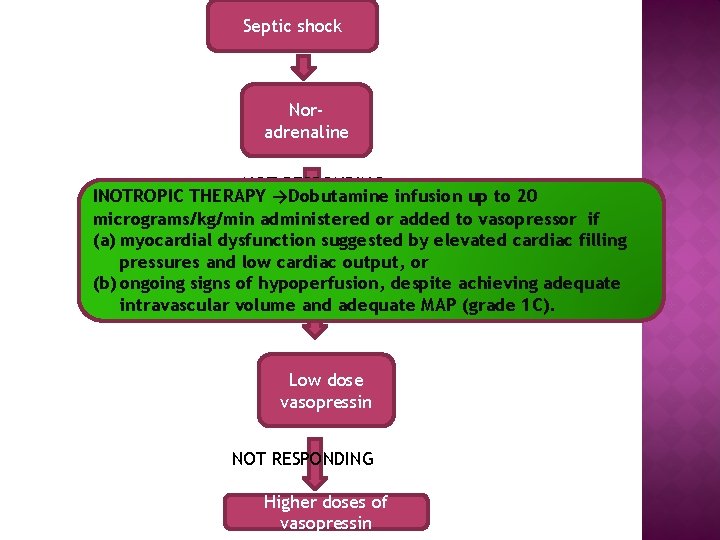 Septic shock Noradrenaline NOT RESPONDING INOTROPIC THERAPY →Dobutamine infusion up to 20 micrograms/kg/min administered