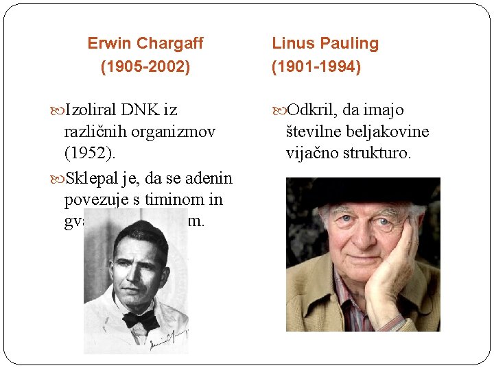 Erwin Chargaff (1905 -2002) Izoliral DNK iz različnih organizmov (1952). Sklepal je, da se