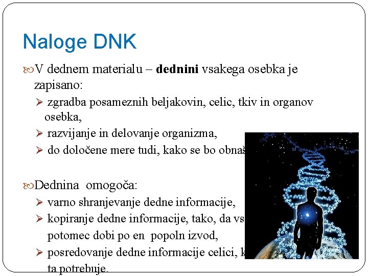 Naloge DNK V dednem materialu – dednini vsakega osebka je zapisano: Ø zgradba posameznih
