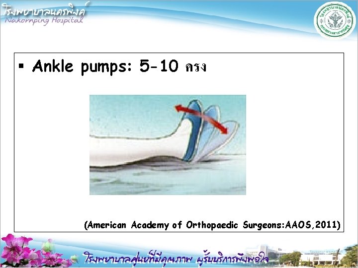 § Ankle pumps: 5 -10 ครง (American Academy of Orthopaedic Surgeons: AAOS, 2011) 