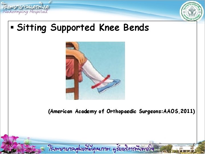§ Sitting Supported Knee Bends (American Academy of Orthopaedic Surgeons: AAOS, 2011) 