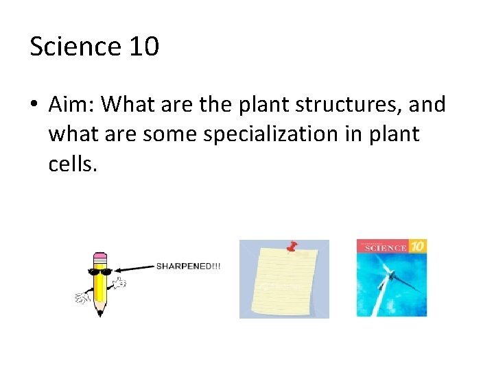 Science 10 • Aim: What are the plant structures, and what are some specialization Science 10 • Aim: What are the plant structures, and what are some specialization