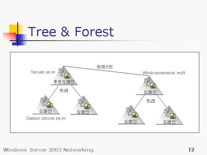 Tree & Forest Windows Server 2003 Networking 12 