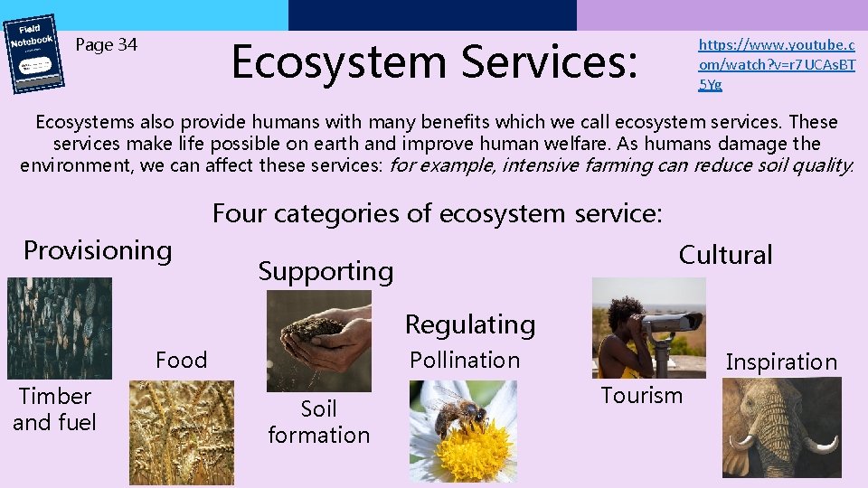 Ecosystem Services: Page 34 https: //www. youtube. c om/watch? v=r 7 UCAs. BT 5