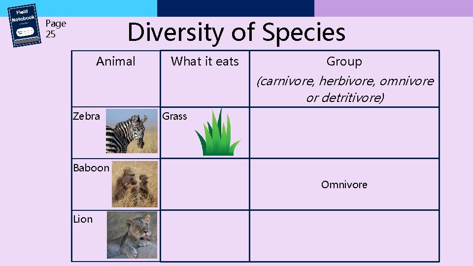 Diversity of Species Page 25 Animal What it eats Group (carnivore, herbivore, omnivore or