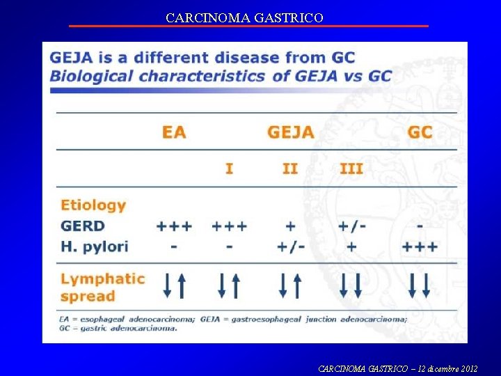 CARCINOMA GASTRICO – 12 dicembre 2012 