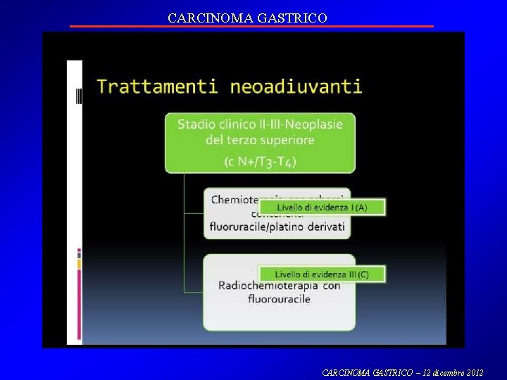 CARCINOMA GASTRICO – 12 dicembre 2012 