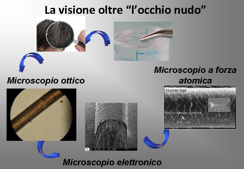 La visione oltre “l’occhio nudo” Microscopio ottico Microscopio a forza atomica Microscopio elettronico 