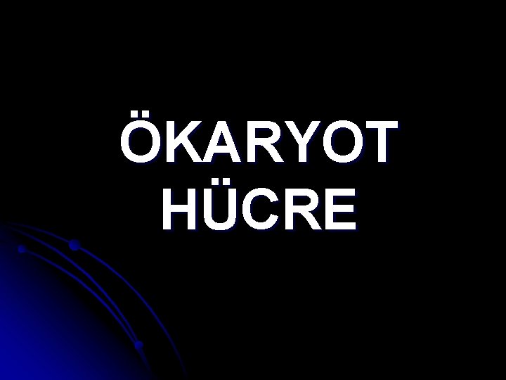 ÖKARYOT HÜCRE 