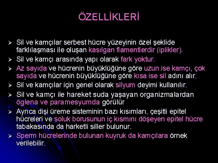 ÖZELLİKLERİ Sil ve kamçılar serbest hücre yüzeyinin özel şeklide farklılaşması ile oluşan kasılgan flamentlerdir