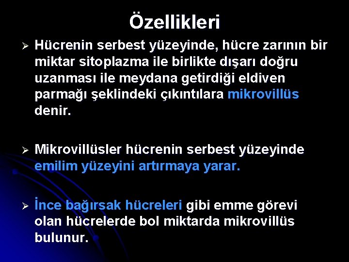 Özellikleri Ø Hücrenin serbest yüzeyinde, hücre zarının bir miktar sitoplazma ile birlikte dışarı doğru