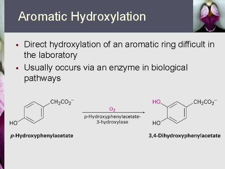 Aromatic Hydroxylation § § Direct hydroxylation of an aromatic ring difficult in the laboratory