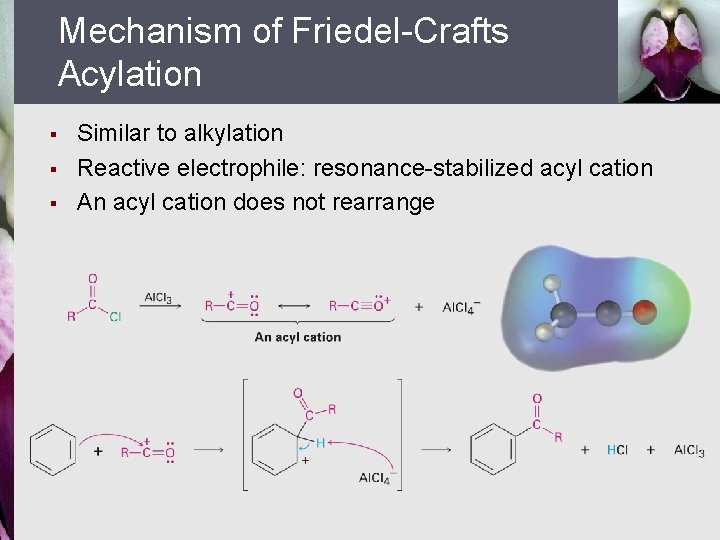 Mechanism of Friedel-Crafts Acylation § § § Similar to alkylation Reactive electrophile: resonance-stabilized acyl