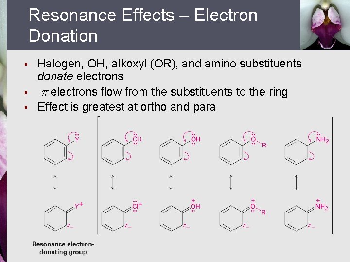 Resonance Effects – Electron Donation § § § Halogen, OH, alkoxyl (OR), and amino