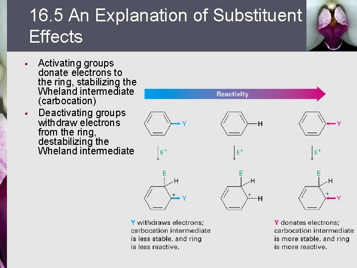 16. 5 An Explanation of Substituent Effects § § Activating groups donate electrons to
