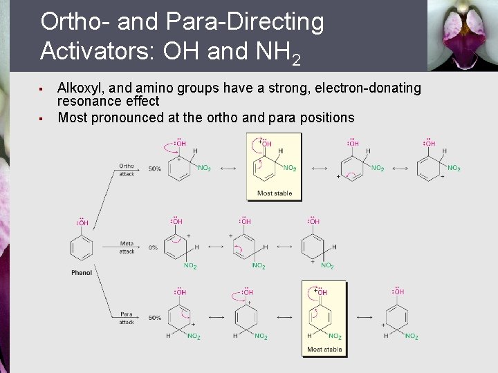 Ortho- and Para-Directing Activators: OH and NH 2 § § Alkoxyl, and amino groups