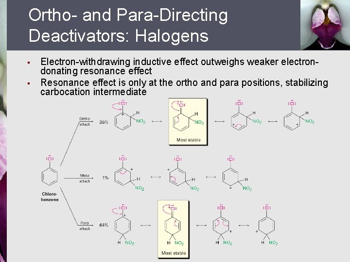 Ortho- and Para-Directing Deactivators: Halogens § § Electron-withdrawing inductive effect outweighs weaker electrondonating resonance