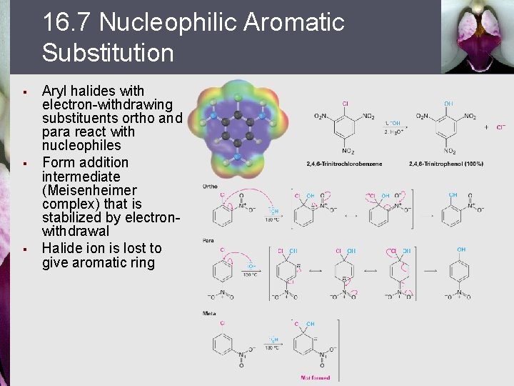 16. 7 Nucleophilic Aromatic Substitution § § § Aryl halides with electron-withdrawing substituents ortho