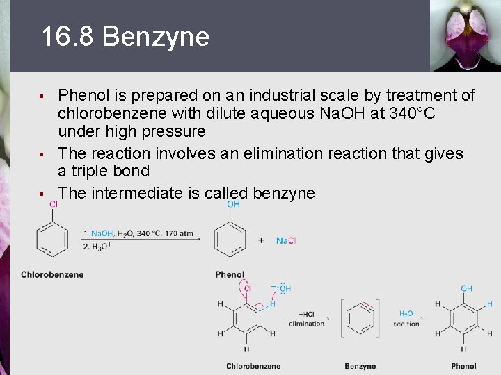 16. 8 Benzyne § § § Phenol is prepared on an industrial scale by