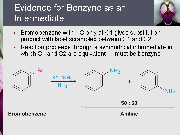 Evidence for Benzyne as an Intermediate § § Bromobenzene with 14 C only at