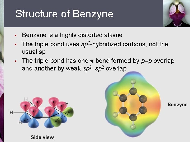 Structure of Benzyne § § § Benzyne is a highly distorted alkyne The triple