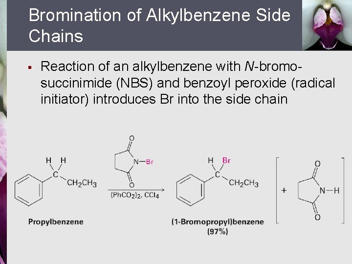 Bromination of Alkylbenzene Side Chains § Reaction of an alkylbenzene with N-bromosuccinimide (NBS) and