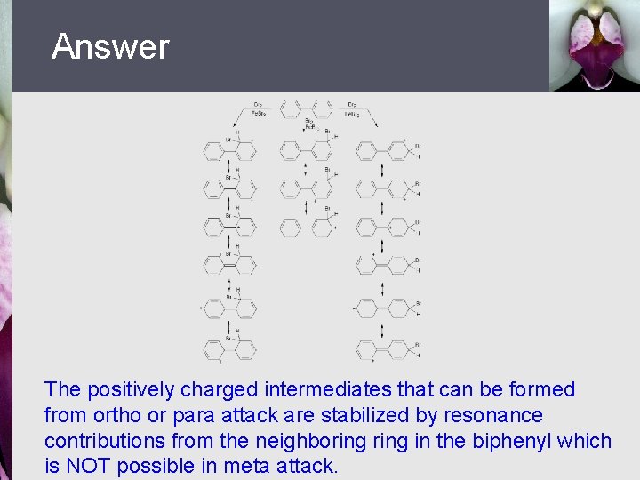 Answer The positively charged intermediates that can be formed from ortho or para attack