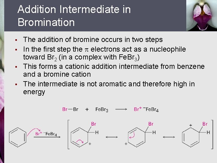 Addition Intermediate in Bromination § § The addition of bromine occurs in two steps