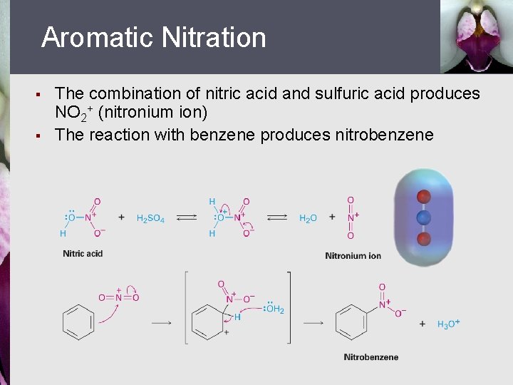 Aromatic Nitration § § The combination of nitric acid and sulfuric acid produces NO