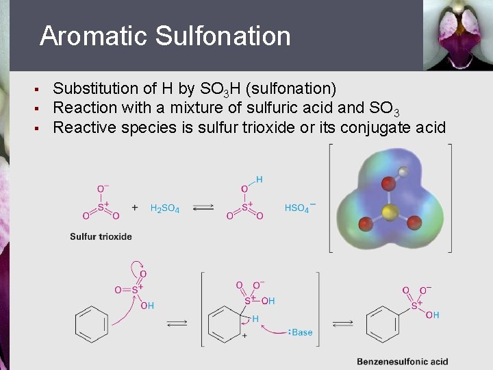 Aromatic Sulfonation § § § Substitution of H by SO 3 H (sulfonation) Reaction