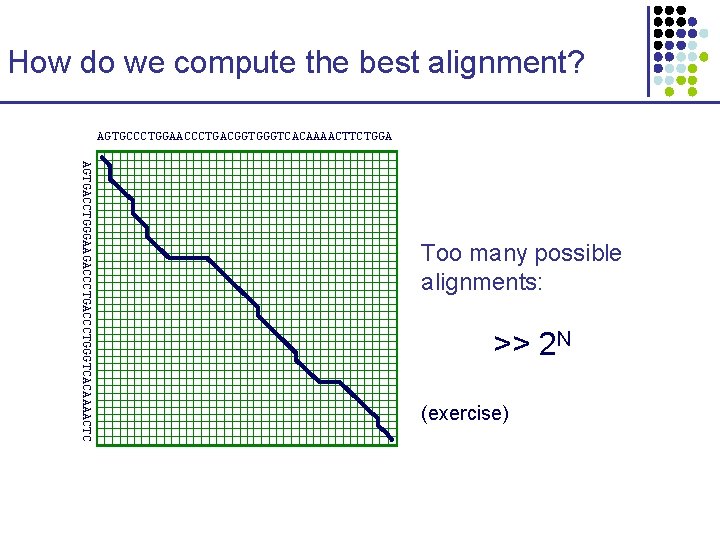How do we compute the best alignment? AGTGCCCTGGAACCCTGACGGTGGGTCACAAAACTTCTGGA AGTGACCTGGGAAGACCCTGGGTCACAAAACTC Too many possible alignments: >> How do we compute the best alignment? AGTGCCCTGGAACCCTGACGGTGGGTCACAAAACTTCTGGA AGTGACCTGGGAAGACCCTGGGTCACAAAACTC Too many possible alignments: >>